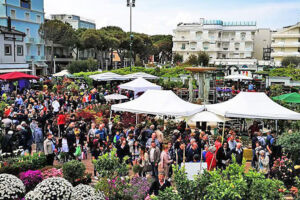 Hotel Everest - Cattolica in fiore